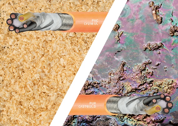 CF 온라인 세미나