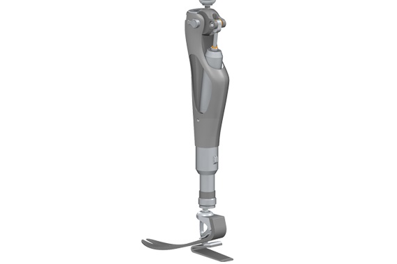 보철물 및 정형술