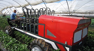 easy chain in use in harvesting machines